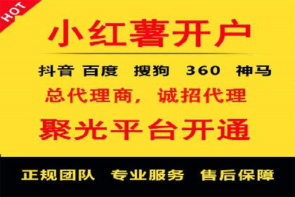某电商平台的SEM广告投放策略及效果评估